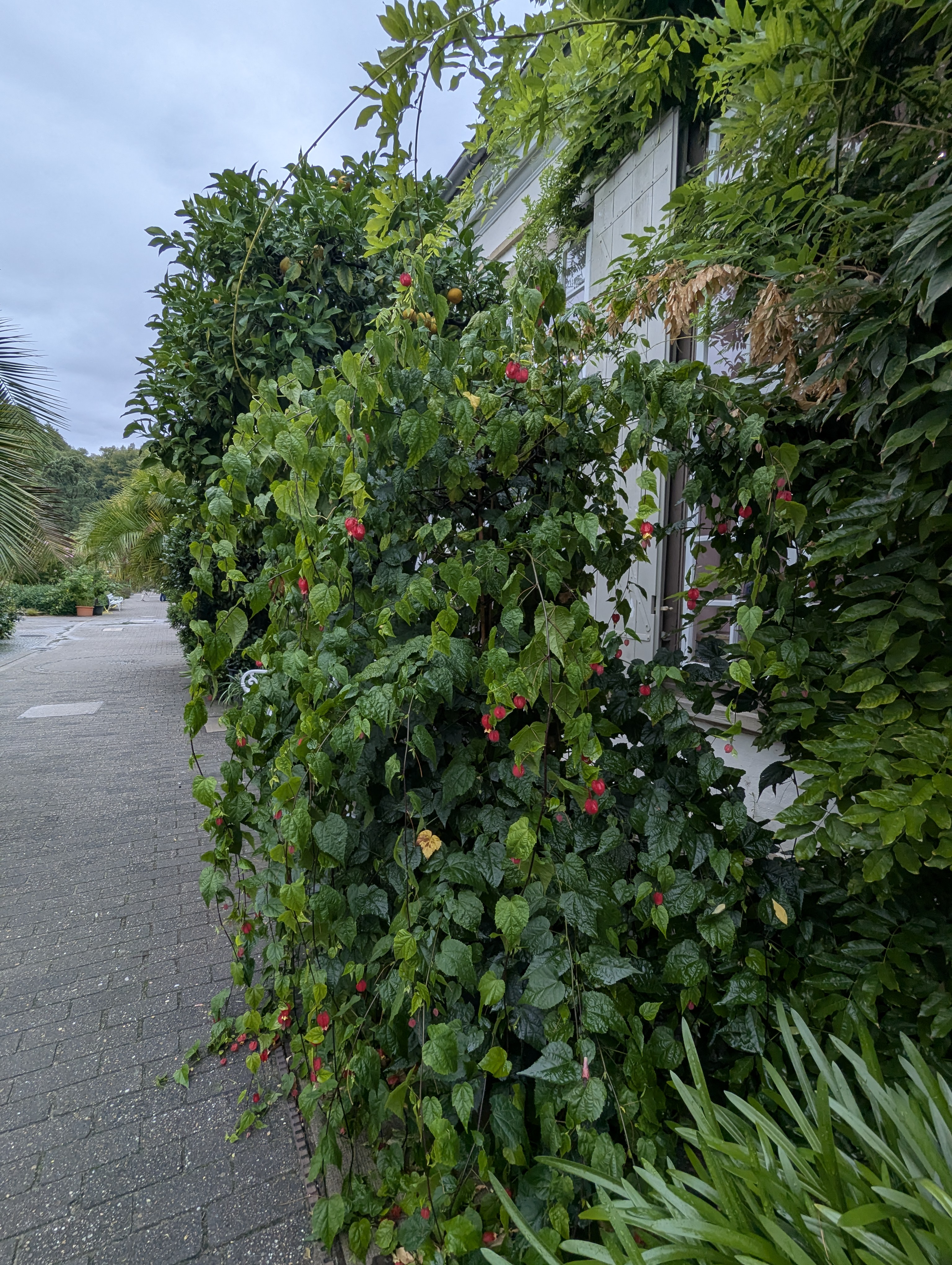 Botonic Gardens, Muenster, Germany